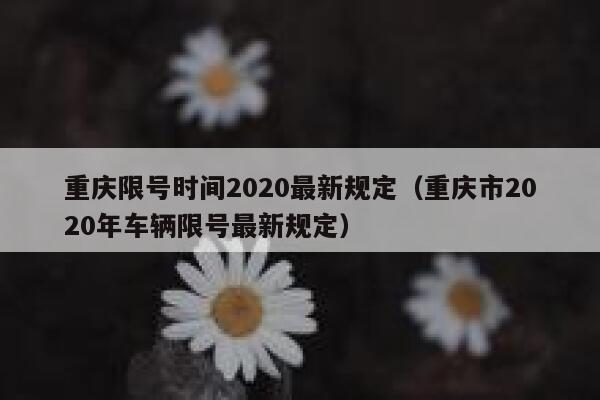 重庆限号时间2020最新规定（重庆市2020年车辆限号最新规定） 第1张