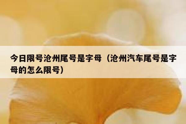 今日限号沧州尾号是字母(沧州汽车尾号是字母的怎么限号) 第1张 今日限号沧州尾号是字母(沧州汽车尾号是字母的怎么限号) 第1张