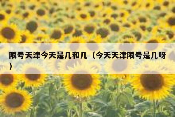 限号天津今天是几和几(今天天津限号是几呀) 第1张 限号天津今天是几和几(今天天津限号是几呀) 第1张