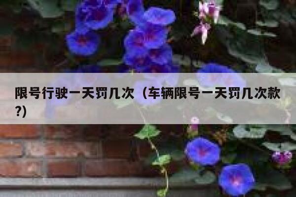限号行驶一天罚几次(车辆限号一天罚几次款?) 第1张 限号行驶一天罚几次(车辆限号一天罚几次款?) 第1张