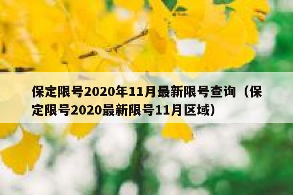 保定限号2020年11月最新限号查询（保定限号2020最新限号11月区域） 第1张