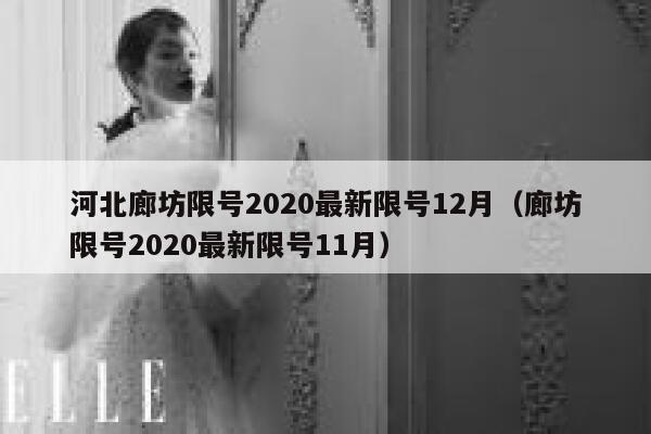 河北廊坊限号2020最新限号12月（廊坊限号2020最新限号11月） 第1张