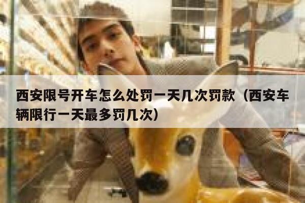 西安限号开车怎么处罚一天几次罚款（西安车辆限行一天最多罚几次） 第1张