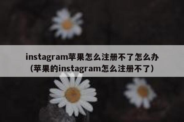 instagram苹果怎么注册不了怎么办（苹果的instagram怎么注册不了） 第1张