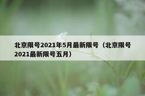 北京限号2021年5月最新限号（北京限号2021最新限号五月） 第1张