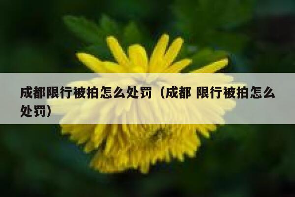 成都限行被拍怎么处罚（成都 限行被拍怎么处罚） 第1张