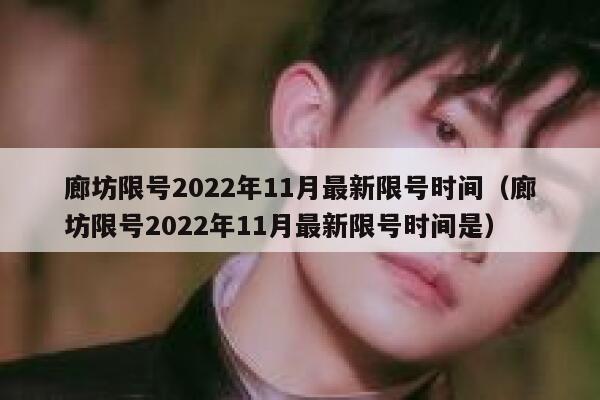廊坊限号2022年11月最新限号时间（廊坊限号2022年11月最新限号时间是） 第1张