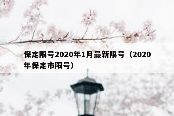 保定限号2020年1月最新限号（2020年保定市限号） 第1张
