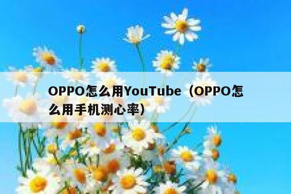 OPPO怎么用YouTube（OPPO怎么用手机测心率） 第1张