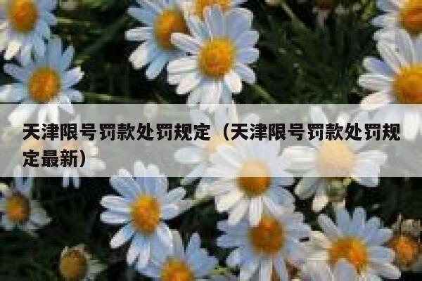 天津限号罚款处罚规定（天津限号罚款处罚规定最新） 第1张
