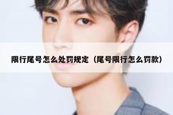 限行尾号怎么处罚规定（尾号限行怎么罚款） 第1张