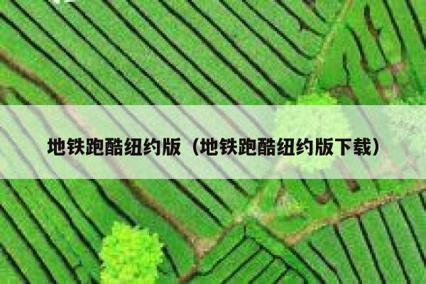 地铁跑酷纽约版（地铁跑酷纽约版下载） 第1张