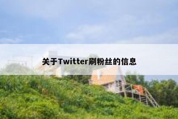 关于Twitter刷粉丝的信息 第1张