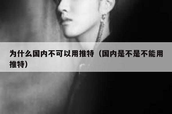 为什么国内不可以用推特（国内是不是不能用推特） 第1张