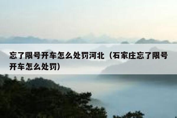 忘了限号开车怎么处罚河北（石家庄忘了限号开车怎么处罚） 第1张