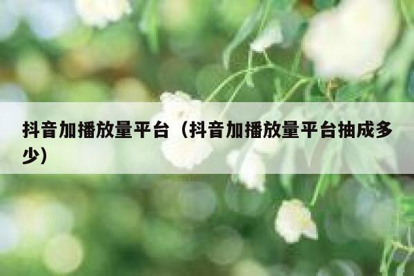 抖音加播放量平台（抖音加播放量平台抽成多少） 第1张