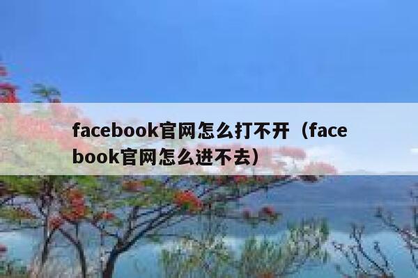 facebook官网怎么打不开（facebook官网怎么进不去） 第1张