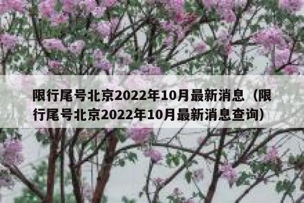 限行尾号北京2022年10月最新消息（限行尾号北京2022年10月最新消息查询） 第1张