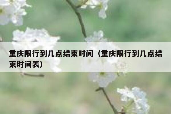 重庆限行到几点结束时间（重庆限行到几点结束时间表） 第1张