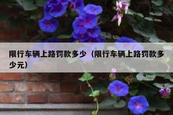 限行车辆上路罚款多少（限行车辆上路罚款多少元） 第1张