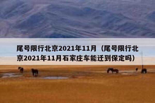尾号限行北京2021年11月（尾号限行北京2021年11月石家庄车能迁到保定吗） 第1张