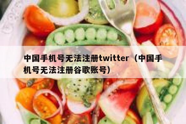 中国手机号无法注册twitter（中国手机号无法注册谷歌账号） 第1张