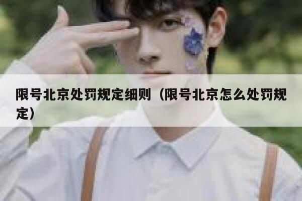 限号北京处罚规定细则（限号北京怎么处罚规定） 第1张