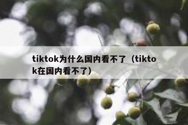 tiktok为什么国内看不了（tiktok在国内看不了） 第1张