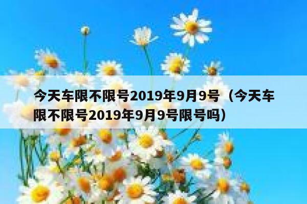 今天车限不限号2019年9月9号(今天车限不限号2019年9月9号限号吗) 第1张 今天车限不限号2019年9月9号(今天车限不限号2019年9月9号限号吗) 第1张