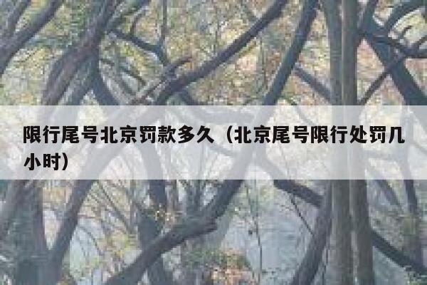限行尾号北京罚款多久（北京尾号限行处罚几小时） 第1张