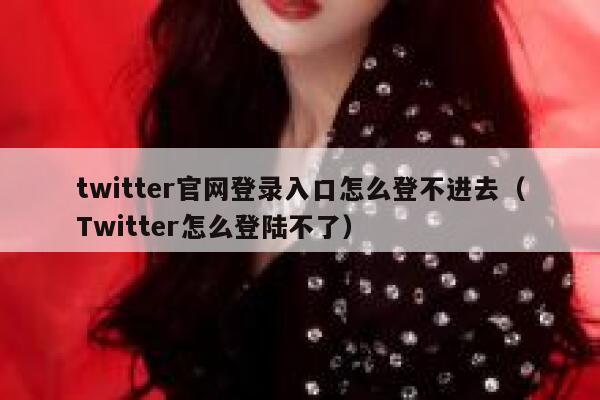 twitter官网登录入口怎么登不进去（Twitter怎么登陆不了） 第1张