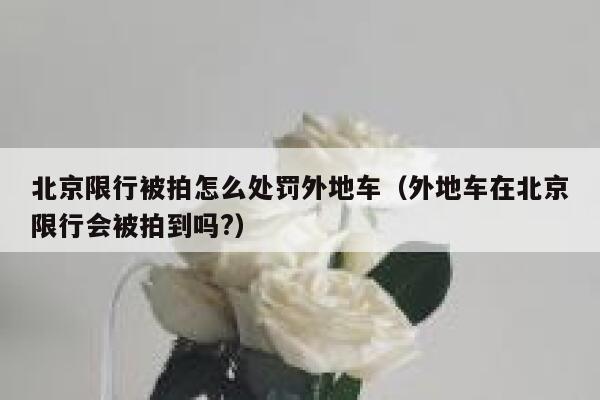 北京限行被拍怎么处罚外地车（外地车在北京限行会被拍到吗?） 第1张
