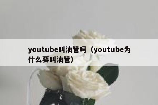 youtube叫油管吗（youtube为什么要叫油管） 第1张