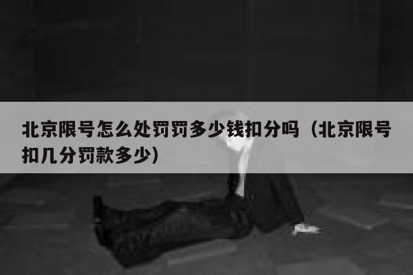 北京限号怎么处罚罚多少钱扣分吗（北京限号扣几分罚款多少） 第1张