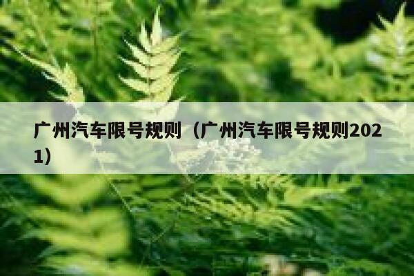 广州汽车限号规则（广州汽车限号规则2021） 第1张