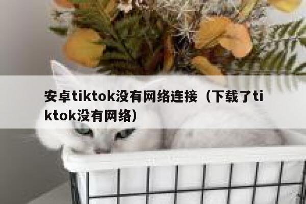 安卓tiktok没有网络连接（下载了tiktok没有网络） 第1张