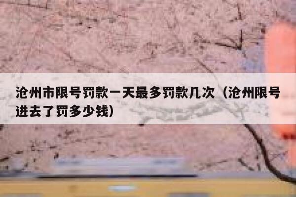 沧州市限号罚款一天最多罚款几次（沧州限号进去了罚多少钱） 第1张