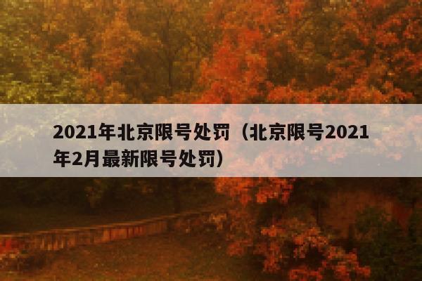 2021年北京限号处罚（北京限号2021年2月最新限号处罚） 第1张