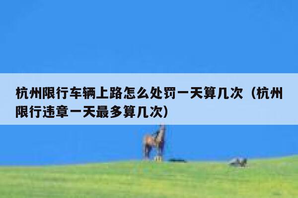 杭州限行车辆上路怎么处罚一天算几次（杭州限行违章一天最多算几次） 第1张