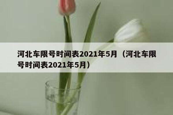 河北车限号时间表2021年5月（河北车限号时间表2021年5月） 第1张