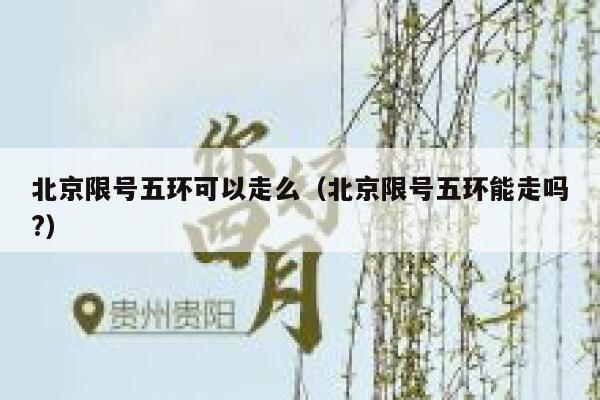 北京限号五环可以走么（北京限号五环能走吗?） 第1张