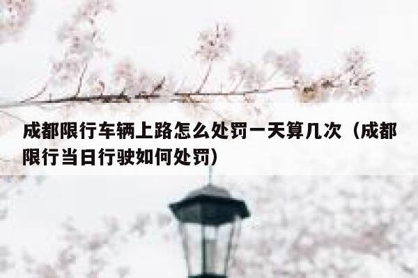 成都限行车辆上路怎么处罚一天算几次（成都限行当日行驶如何处罚） 第1张