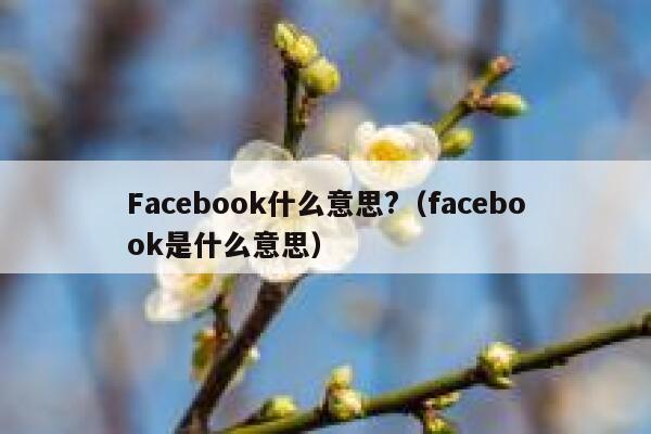 Facebook什么意思?（facebook是什么意思） 第1张