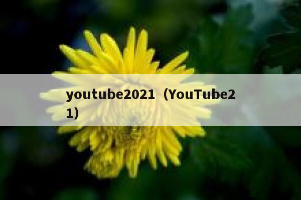 youtube2021（YouTube21） 第1张