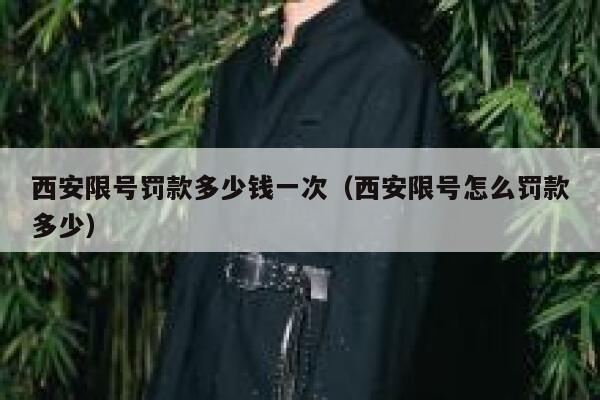 西安限号罚款多少钱一次（西安限号怎么罚款多少） 第1张