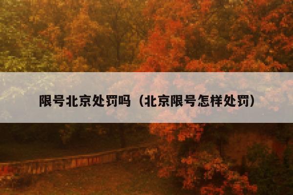 限号北京处罚吗（北京限号怎样处罚） 第1张