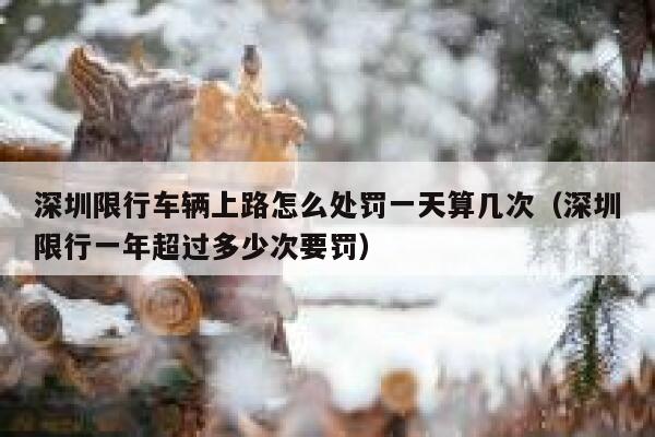 深圳限行车辆上路怎么处罚一天算几次（深圳限行一年超过多少次要罚） 第1张