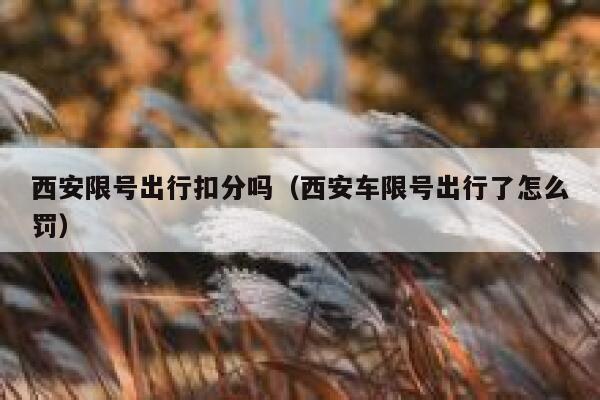 西安限号出行扣分吗（西安车限号出行了怎么罚） 第1张