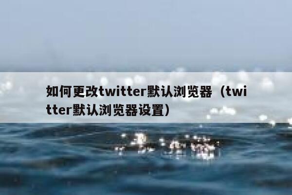 如何更改twitter默认浏览器（twitter默认浏览器设置） 第1张