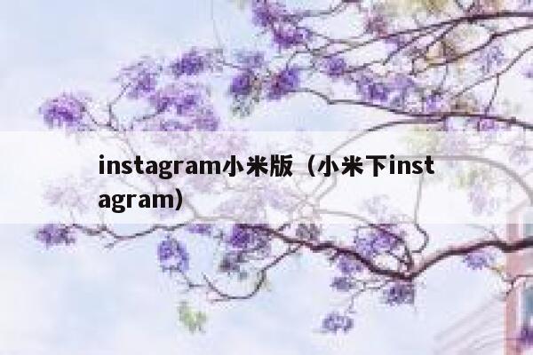 instagram小米版（小米下instagram） 第1张